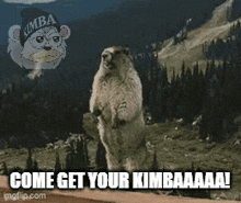 a picture of a ground squirrel with the words come get your kimbaaaal