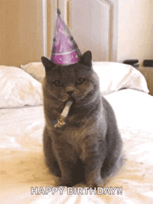 Birthday Happybirthday GIF - Birthday Happybirthday Cat GIFs