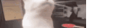 a blurry picture of a person standing next to a black box .