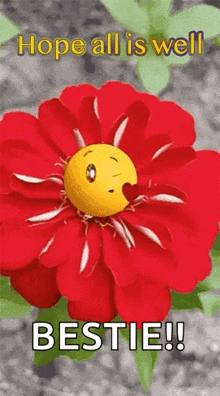 a red flower with a smiley face in it and the words hope all is well bestie !
