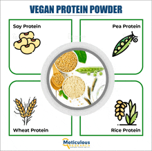 a diagram of vegan protein powder with soy protein pea protein wheat protein rice protein