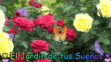 El Jardin De Tus Suenos The Garden Of Your Dreams GIF - El Jardin De Tus Suenos The Garden Of Your Dreams Garden GIFs