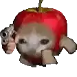 a cat is holding a gun next to an apple .