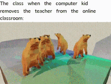 dancing bear the class when the computer kid removes the teacher from the online classroom