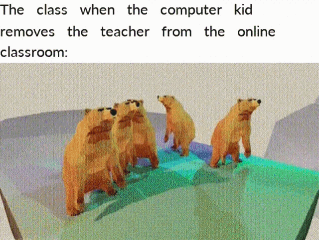 computer kid gif meme