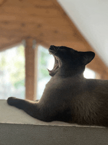 a cat laying on a wall with its mouth wide open
