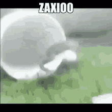 a picture of a cat playing with a ball with the words zaxi00 written above it
