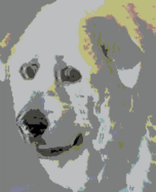 Spooky Dog Seab GIF - Spooky Dog Seab Jitter Dog GIFs
