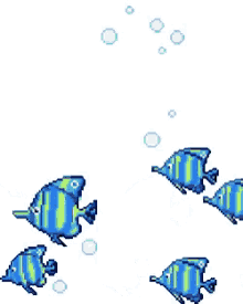 Fish1 Fish2 GIF - Fish1 Fish2 Fishes GIFs