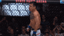 a man in a cage with a sign that says state farm arena on it