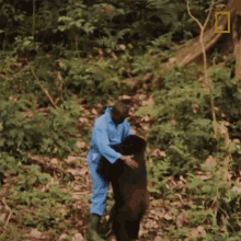 Hugging Young Orphaned Gorillas See Their Adorable Bond With Park Rangers GIF