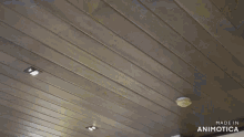 a ceiling with a smoke detector on it and the words made in animotica below it