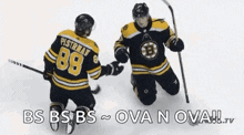 Boston Bruins Ice Hockey GIF - Boston Bruins Ice Hockey Stanley GIFs
