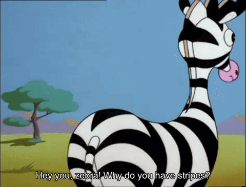 A bird asks a zebra why zebras have stripes, and the zebra gives a sarcastic answer
