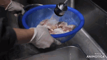a person is washing chicken in a blue strainer and the words made in animotica are on the bottom