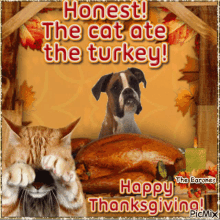 Thanksgiving Gobble GIF - Thanksgiving Gobble Honest GIFs