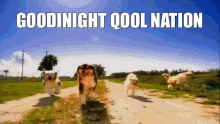 Qool Goodnight GIF - Qool Goodnight Qool Nation GIFs