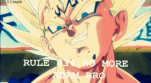 Rule834 Dbz GIF - Rule834 Dbz No More Adam Bro GIFs