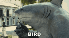 bird king shark the suicide squad birdie pigeon