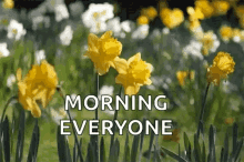 Good Morning Flowers GIF - Good Morning Flowers Good Day GIFs