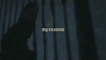 My Shadow Dillon James GIF - My Shadow Dillon James My Shadow Song GIFs