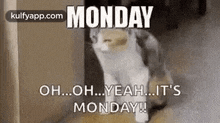 Oh Its Monday.Gif GIF - Oh Its Monday Cat Lazy GIFs