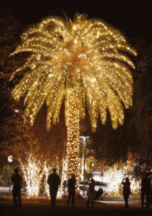 Palm Tree Christmas Tree GIF - Palm Tree Christmas Tree Christmas Gifts GIFs