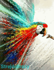 Strejdobrazy Parrot GIF - Strejdobrazy Parrot Humming Bird GIFs