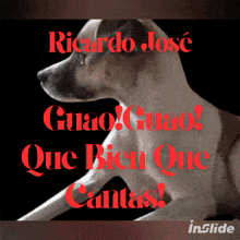 a poster with a dog and the words ricardo jose guao guao que bien que canta