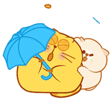 cat kitty rain umbrella
