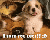 I Love Lucy I Love You GIF - I Love Lucy I Love You Lucy GIFs