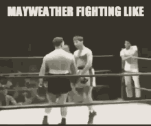 For All Those Fight Fans GIF