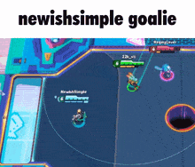 a screenshot of a video game with the words newishsimple goalie