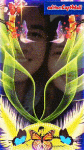 a picture of a woman surrounded by butterflies and flowers with the words editor capital on the top