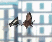 two butterflies are flying in front of a building in a city .