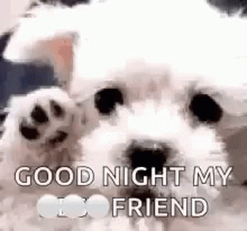Goodnight Goodnight My Friend GIF - Goodnight Goodnight My Friend ...