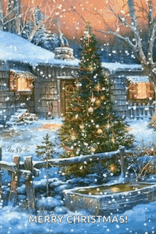 a christmas tree is lit up in front of a cabin in the snow .