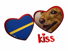 a picture of a dog in a heart shaped frame with the word kiss above it