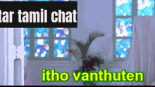 a picture of a room with a plant and the words tamil chat