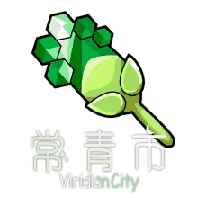 viridian_city2