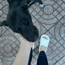 a person wearing white sandals holds a black dog on their wrist