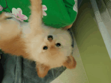 Good Night GIF - Good Night GIFs