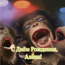 a monkey singing into a microphone with its mouth open in a greeting card