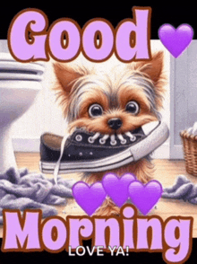 a picture of a dog with a shoe in its mouth with the words good morning love ya