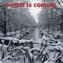 Winter Snow GIF - Winter Snow Amsterdam GIFs