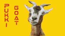 Pukki Goat GIF - Pukki Goat Ncfc GIFs