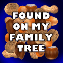 Nut Tree Found On My Family Tree GIF - Nut Tree Found On My Family Tree Heritage GIFs