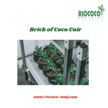 Brick Of Coco Coir GIF - Brick Of Coco Coir GIFs