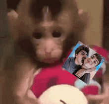 a monkey is holding a picture of two people