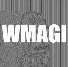 Wmagi Wagmi GIF - Wmagi Wagmi Wojapes GIFs